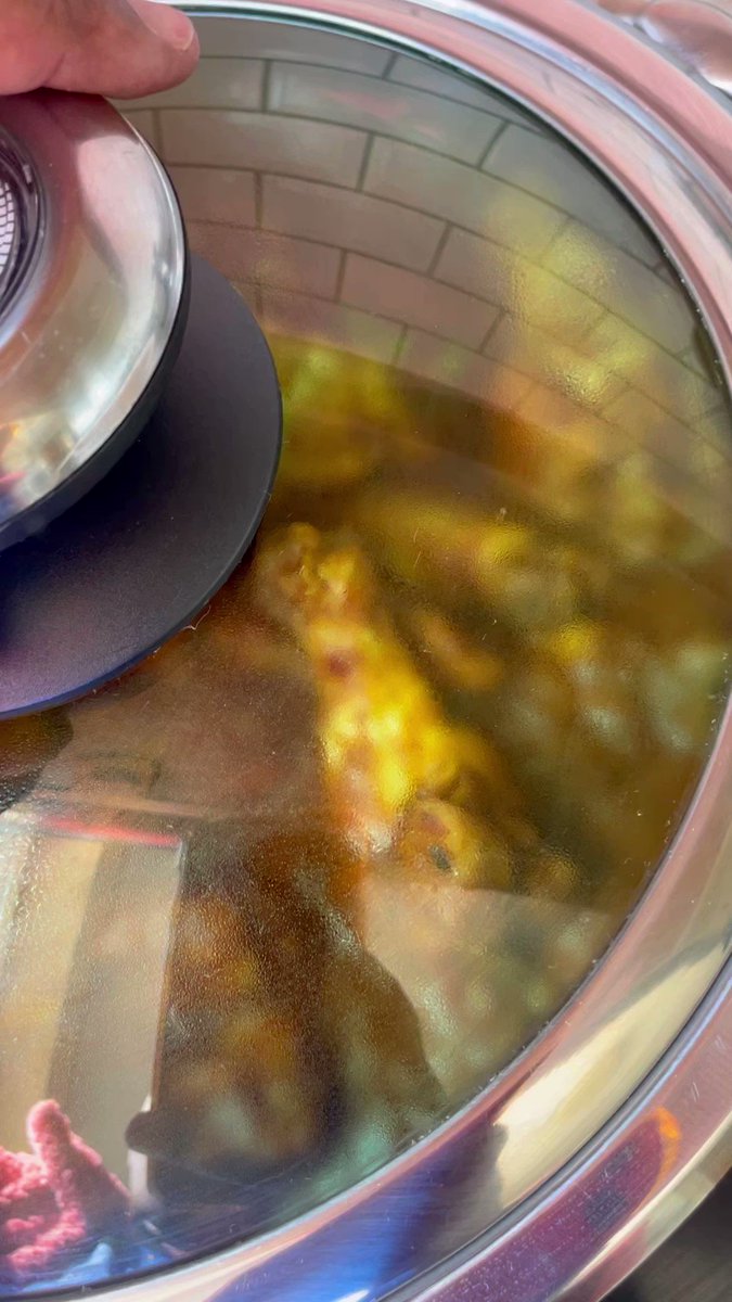 Curry Chicken Wings #Cookingwithfikz