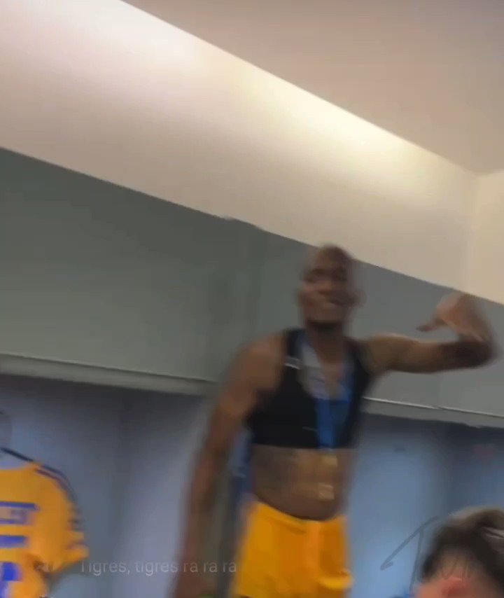Bien merecidas ( más vacaciones ) Club Tigres 🐯