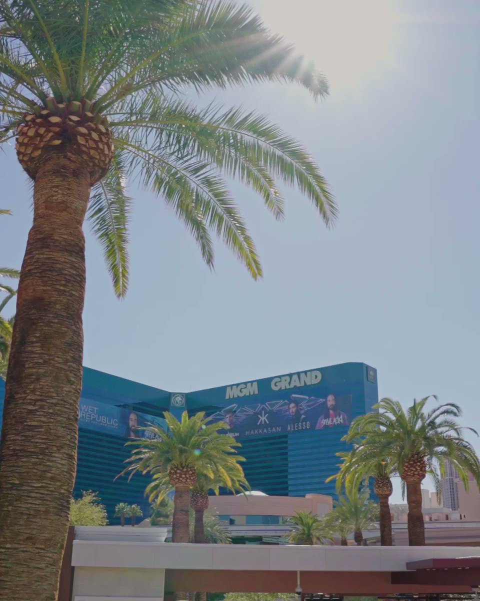 _taliascott and roger_scott discovered that a day at the pool with MGM Rewards is anything but ordinary! JABBAWOCKEEZ surprised them with a dance lesson like no other at MGM Grand Hotel!