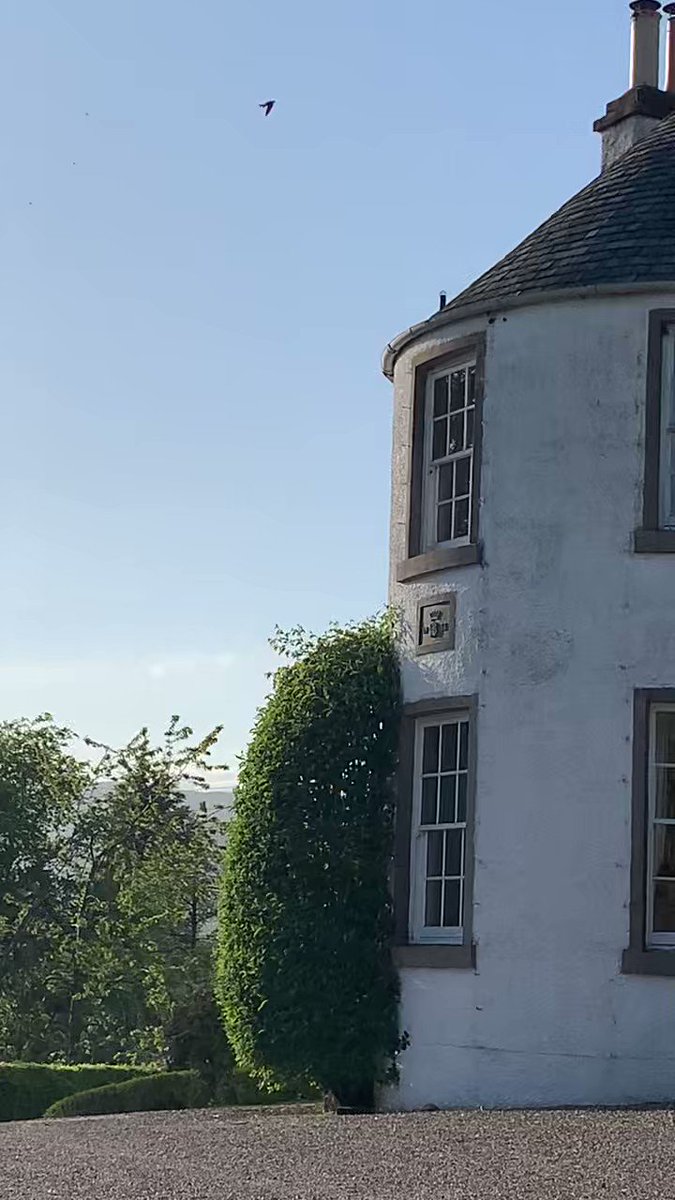 I want to share some good news about wildlife for a change. We appear to have absolute shed loads of house martins this year. Sixteen nests under construction on this house alone and hopefully many more on other properties on the estate.