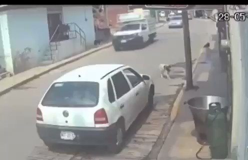 #SeBusca | #SiLoReconocesDenúncialo Es el HDP que ingresó a la carnicería Chucky, en Tecámac, para amenazar al dueño con un arma de fuego y un cuchillo, al salir agarró a un perro y lo lanzó al cazo con aceite hirviendo. #EdoMéx. QEPD #Video 🎥👇🏽