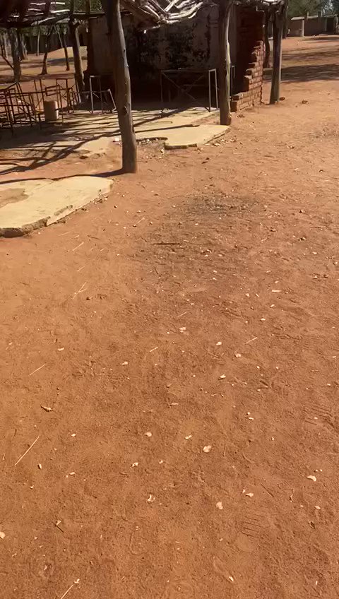 #ExclusivePictures These visuals were shot by a Roman Catholic cleric who was heartbroken with the situation at Chingwizi school. This is why ZANUPF is running away with the Voters Roll with the connivance of Zimbabwe Electoral Commission It has done nothing for ordinary people except looting of public funds and depriving them of healthcare! Don’t appeal to ZANUPF’s conscience to release the Voters Roll, ZANUPF has no conscience! Gloria Steinem said, “…power can be taken, but not given.”