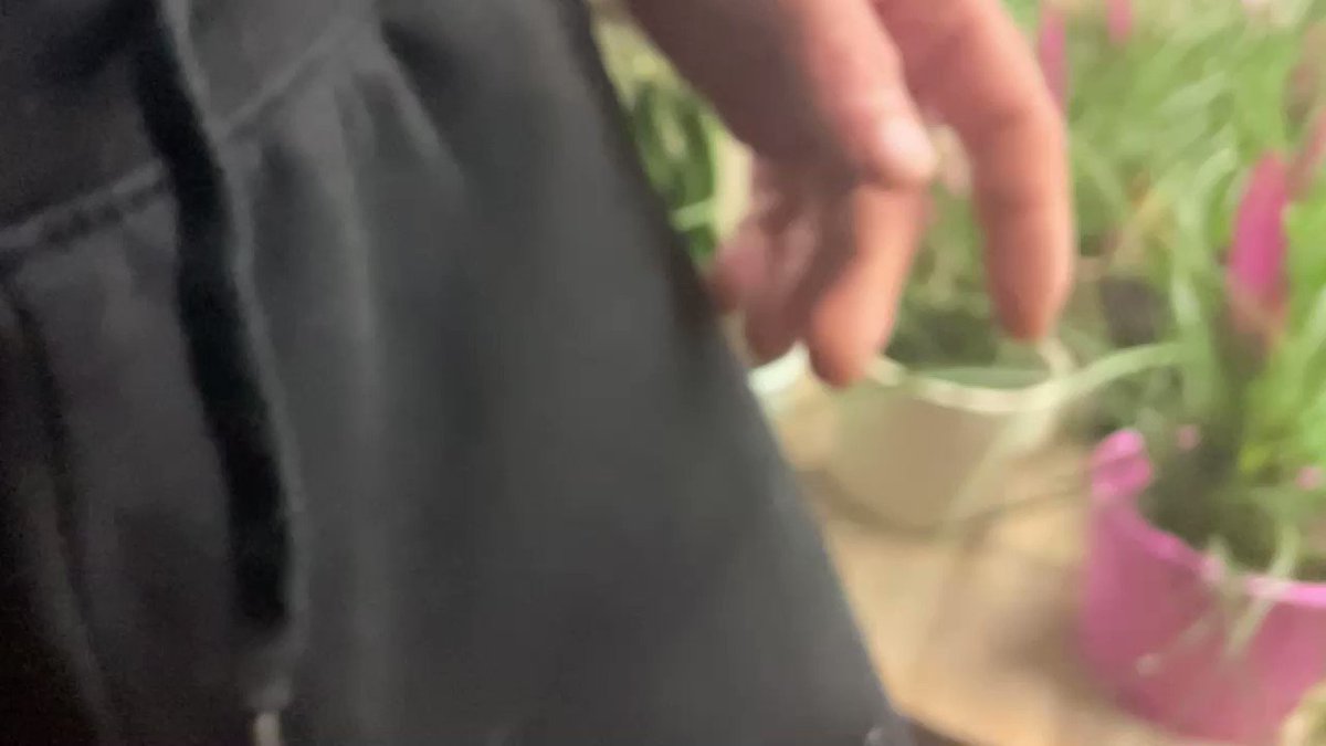 Plant shopping #commando #pov