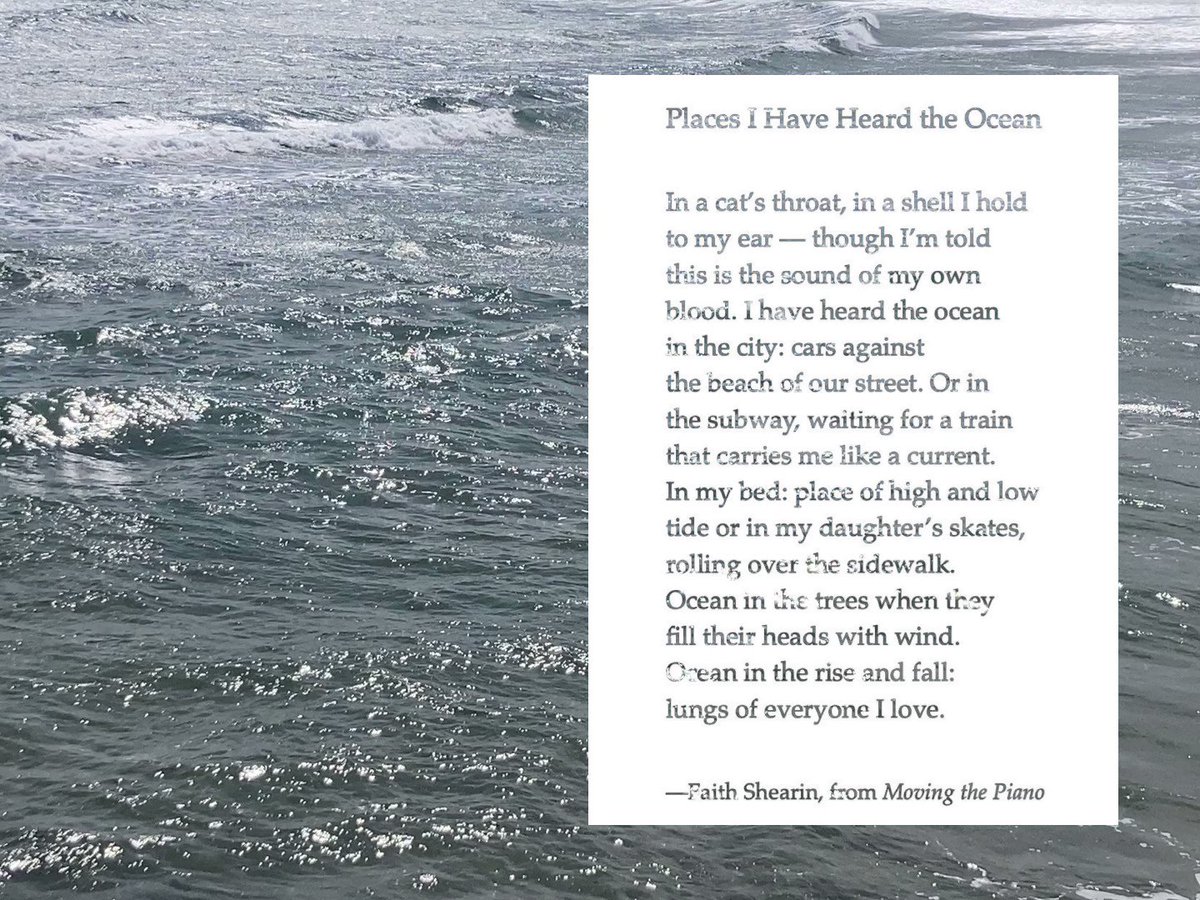 places i have heard the ocean ༄