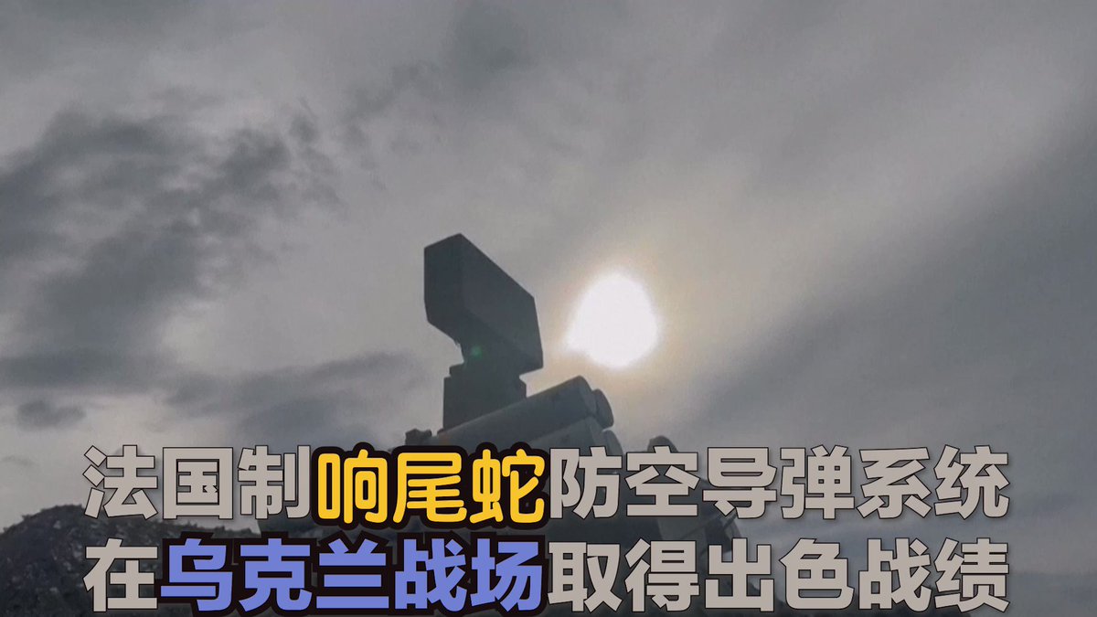 法国援助的响尾蛇防空系统在乌克兰获得好评，针对俄罗斯发射的战术导弹拦截率近乎100%，击落无人机亦高效，冷战时期的装备足以对付当今俄军。8联装响尾蛇系统用于短程低空防御，可同时跟踪12英里范围内的12个目标，导弹最高达3.5倍音速，30磅的弹头能摧毁8米内的目标。
