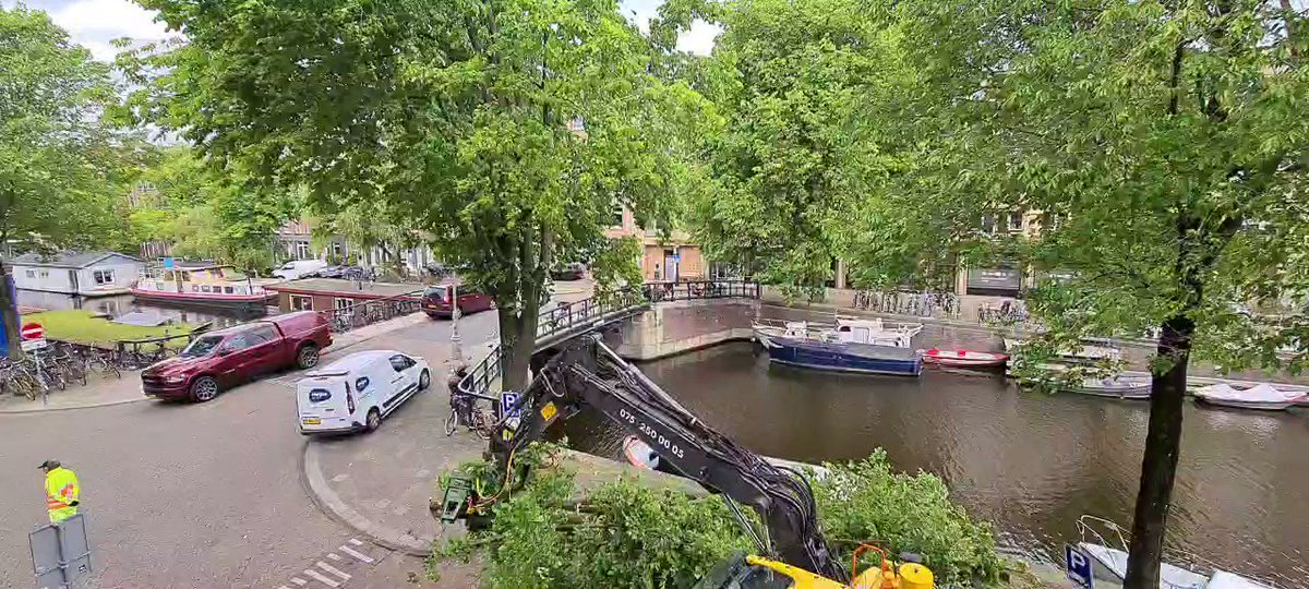 Mijn kerngezonde zonwering na 40 jaar binnen 10 min. gesloopt..!! Ik zal het wel niet begrijpen.!! #bomenkap in #Amsterdam