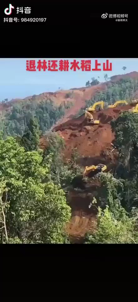 继续贴一组退林还耕的视频。水稻上山。/1