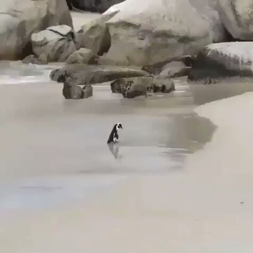 Romantic beach walk.. 😊
