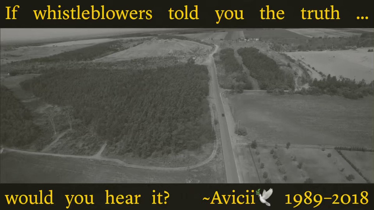 Avicii’s “suicide” makes no sense. But his MURDER does. Avicii was a huge star w/ an independent voice. He might’ve been ok if he didn’t make a music video about child sex trafficking. But he made it— and paid the price. No one in POWER wants attention raised about THAT. Right? Senator Dave Min No one becomes a “superstar” without permission & conditions. And you can’t just quit. “The media” won’t tell you the truth (if it even knows). Effective whistleblowers are targeted & retaliated against. Irrepressible whistleblowers with big reaches are killed. See #JFK #RFK #MLK #MalcomX Those who raise awareness, preach #unity & mobilize concerned citizens to protect CHILDREN are the system’s biggest threat. I think that’s why they’re dead… and those in power are SILENT. #OccamsRazor “High-stakes #whistleblowers live w/ prices on their lives. The most effective ones are jailed forever #JulianAssange - controlled #BritneySpears - targeted #AllyCarter #MeghanWalsh - murdered #NancySchaefer🕊️ #WendiMiller🕊️ - and “suicided” #ChrisCornell🕊️ #ChesterBennington #Avicii🕊️” ~RQ🚀👑 Avicii, “For a Better Day” (2015), 97+ million views. #FairUse Source: 👇