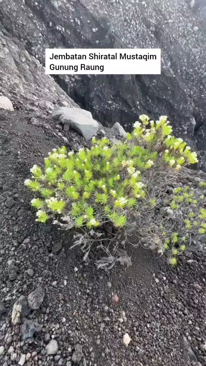 Gunung terekstrim di Jawa video VT aarumsari #pendakilawas #raung #mtraung