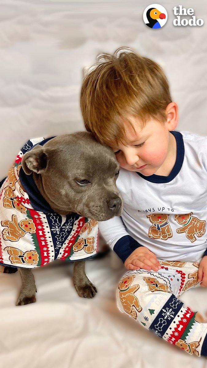 The only thing this pittie loves more than leaping outside in the rain is her human brother ❤️