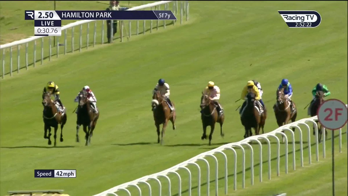 👀 Taking debut £25,000 purchase Ganesha (Showcasing) does the business in good style aboard the Phillip Makin Racing & Connor Beasley Hamilton Park Good luck to Connor who rides Caernarfon in Friday's Betfred Oaks