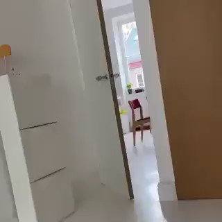 When you leave your dog alone for a minute.. 😅