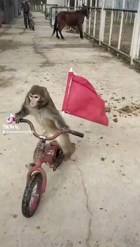 Me voy para El Pascual, la mecha va a ganar, 40.000 almas rojas vibrarán esta noche, necesitamos ganar si o si!!