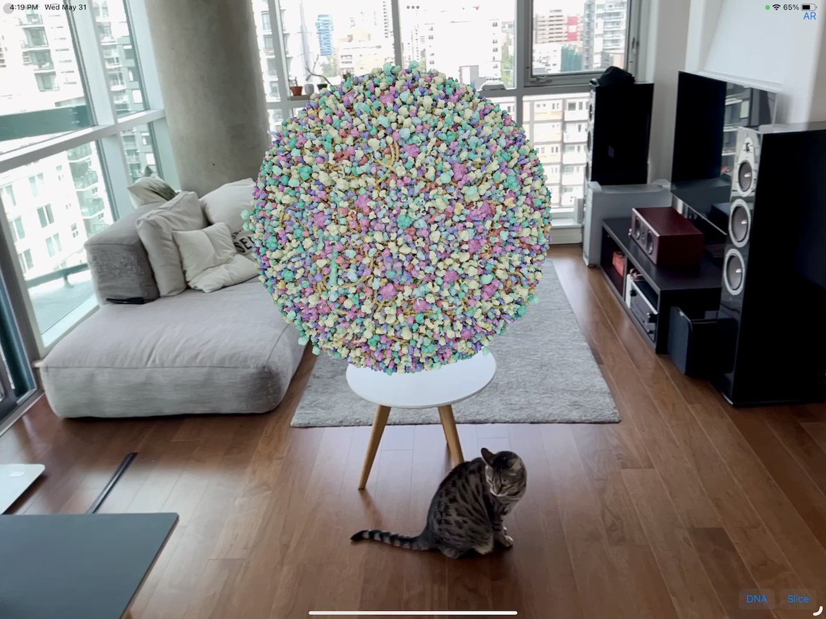 Suddenly a wild Mycoplasma appears! I'm getting ready for #WWDC23. This is going to be insane in the Apple VR headset. So excited! 😆 It's a 250 million atom bacterial cell model rendered in real-time on an iPad (or iPhone). #gamedev #scicomm #vr