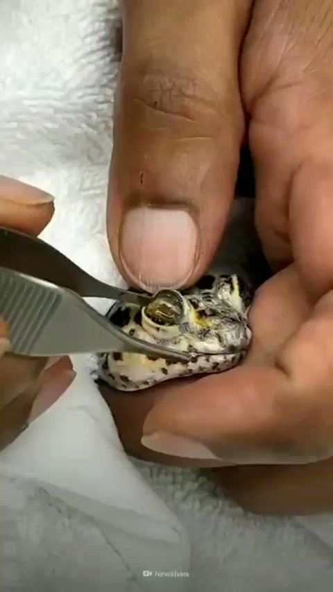 Gracias por tu ayuda