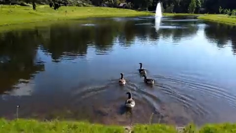 The newly developed Clear Lake is now officially open! Located where the old Trials Field used to be, it’s a must-see this summer. Essential in the dry periods of summer, its capacity is approximately 9000 m3, which is equivalent to over 42,000 domestic water butts.