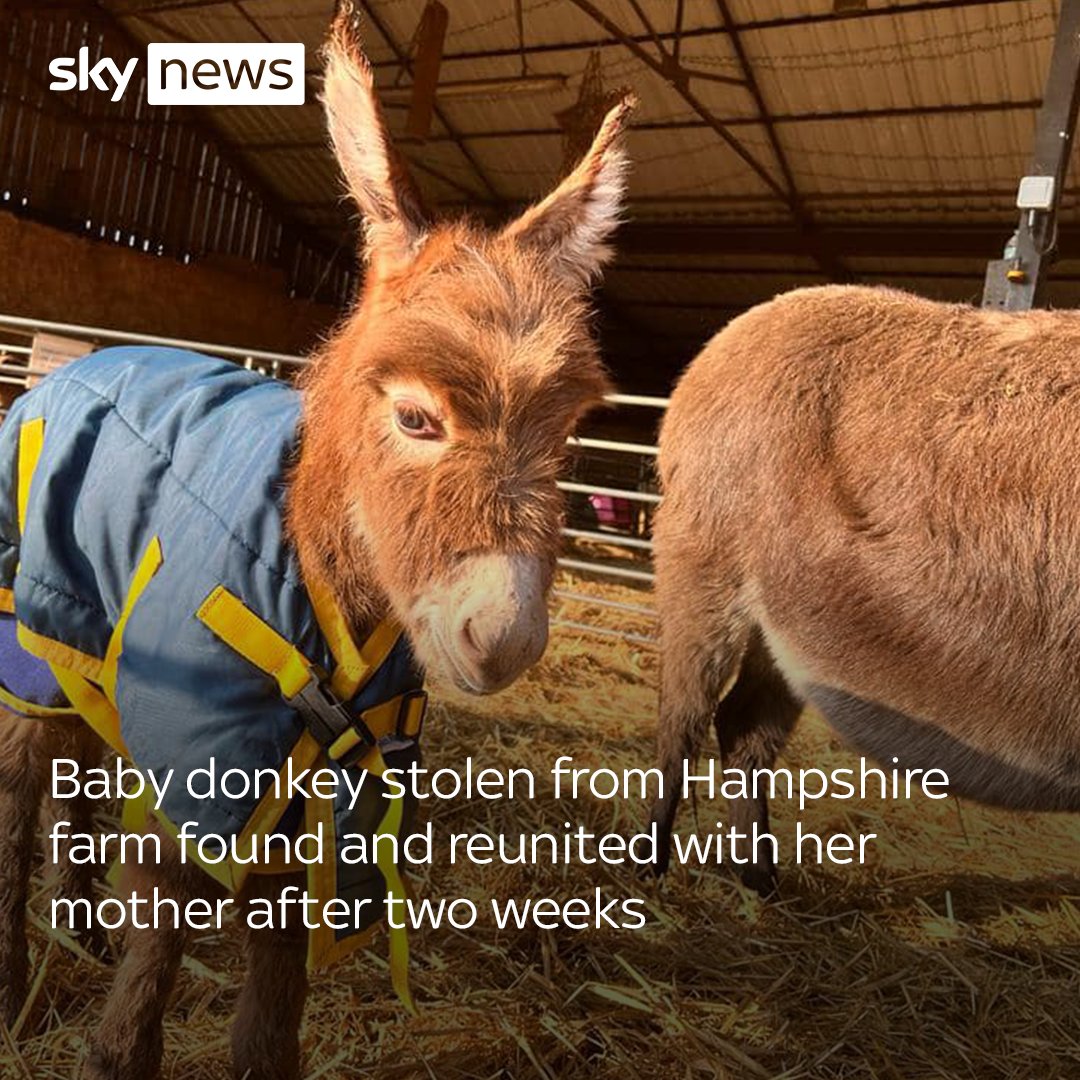A baby donkey snatched from a farm in Hampshire has been found safe and well after more than two weeks ❤️ The owners of two-month-old Moon say they are "beyond thrilled" to reunite the baby with her mother.