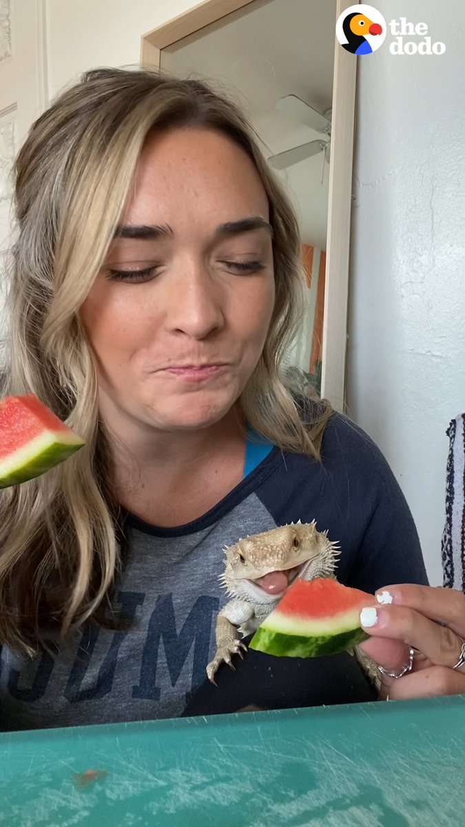 Dragon named Lenny runs away when Mom tries to make him eat his veggies 🦎🥗