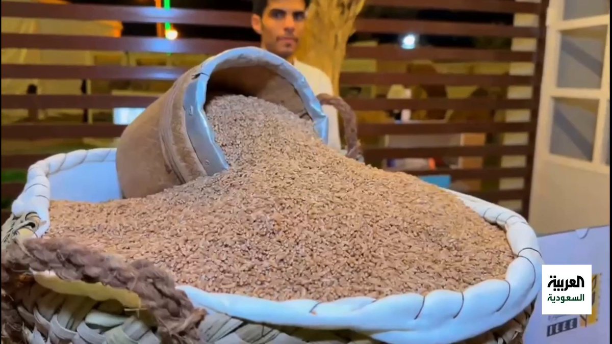 تنتج نحو 3500 طن سنويا.. مهرجان شعبي في #الفوارة بمنطقة #القصيم لدعم مزارعي وبائعي "الحنطة" عبر: فيصل البدراني