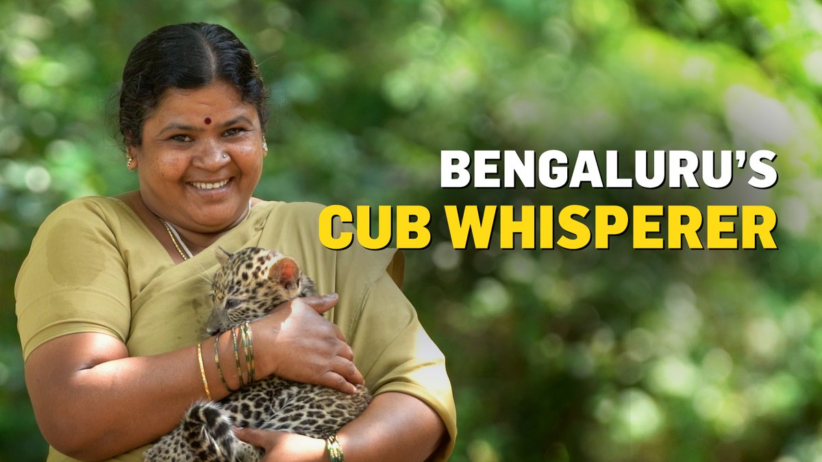 Savitriamma, came to #Bannerghatta Biological Park by accident when she was offered the job in 2002 on compassionate grounds after her husband passed away. She soon became a motherly figure for many animals. Watch the story of #BannerghattaBiologicalPark’s own animal whisperer.