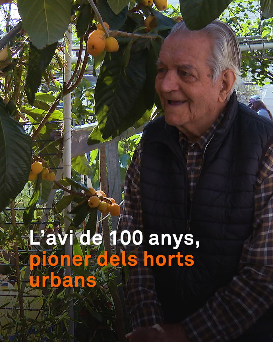 Té 100 anys i és un pioner dels horts urbans. Fa mig segle en va fer un al terrat de casa, en un cinquè pis del Guinardó, a Barcelona. Un oasi verd de 140 m2, envoltat de blocs de pisos. Ara, recull la seva filosofia en un llibre: “Faig una vida senzilla”