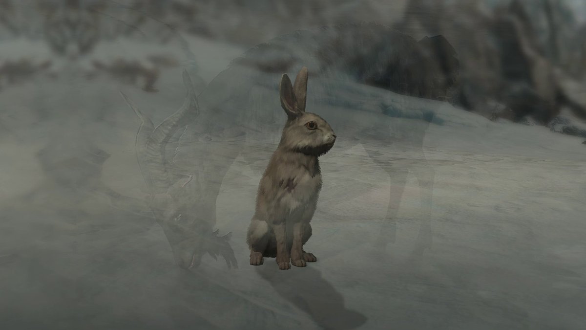 We will remember you 🐰 And slaughter everyone else.