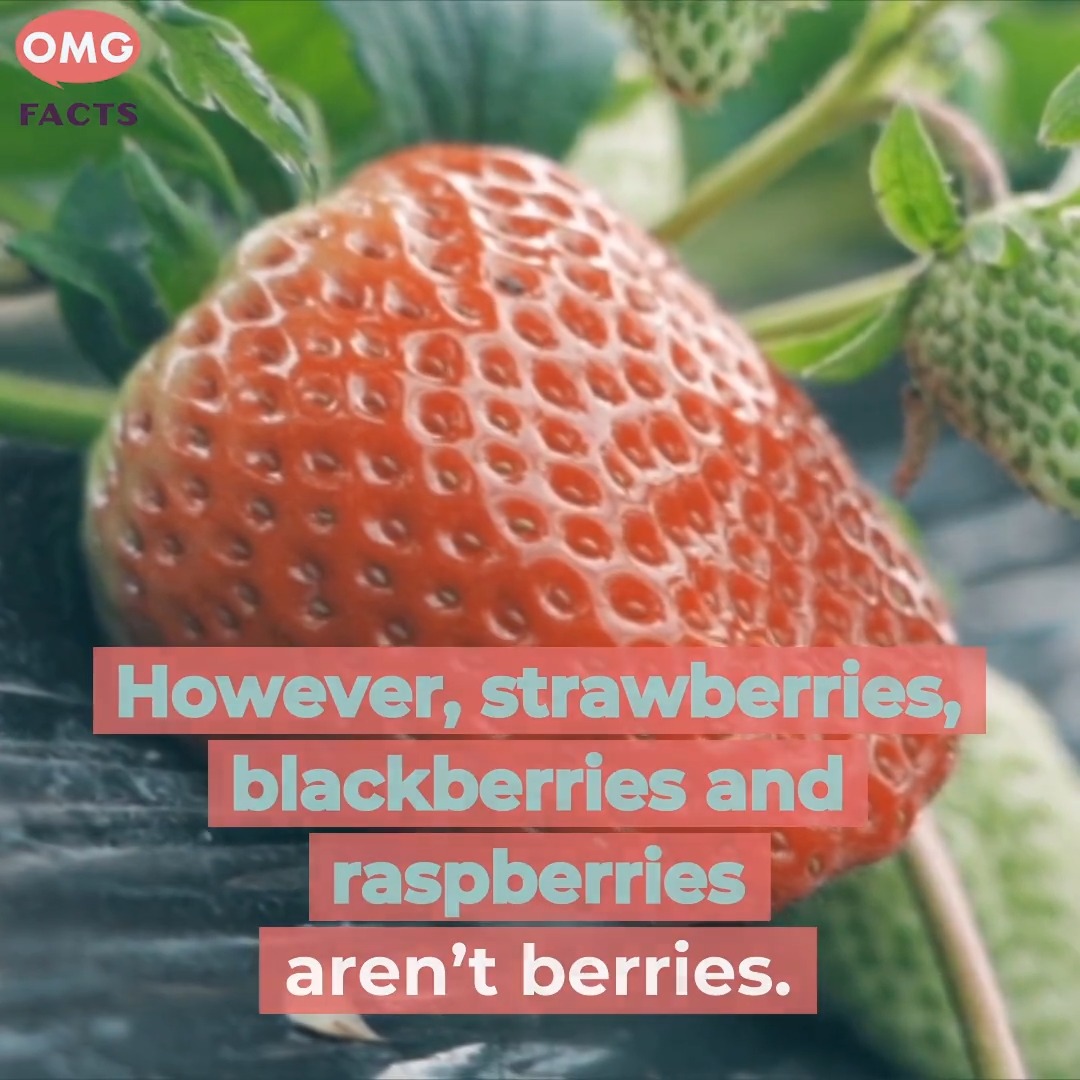 We've been categorizing these foods wrong all this time ๐ฎ