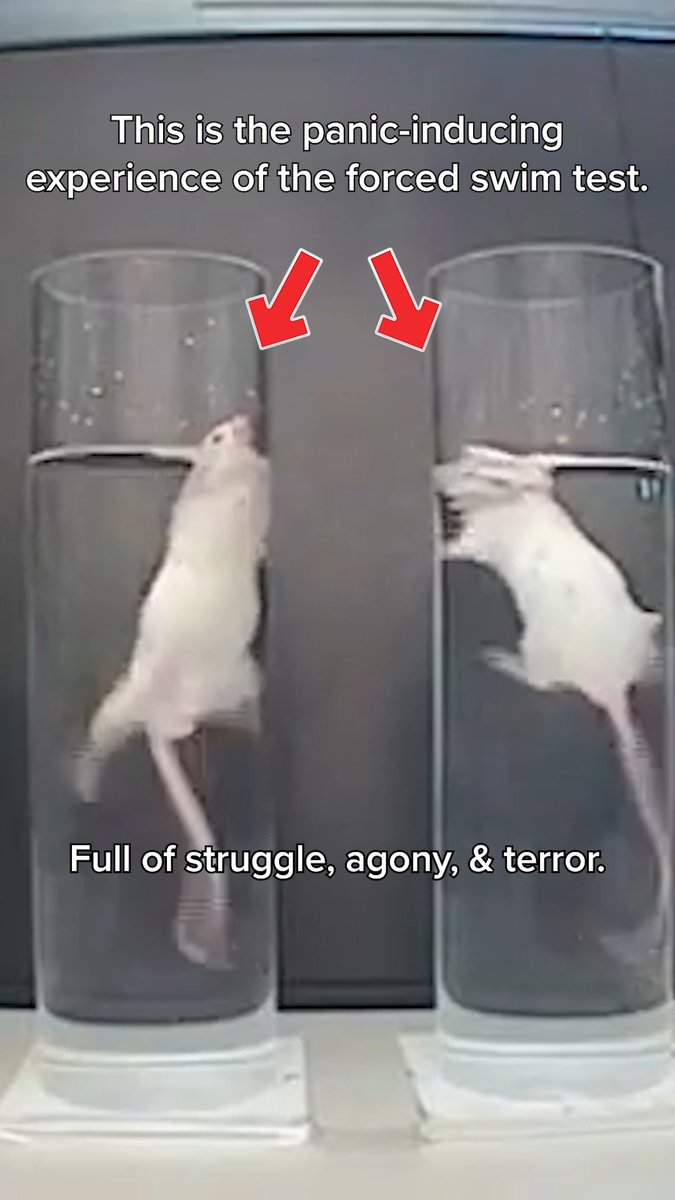 They can see the struggle &amp; fear in each other's eyes, but are powerless to help 😢💔