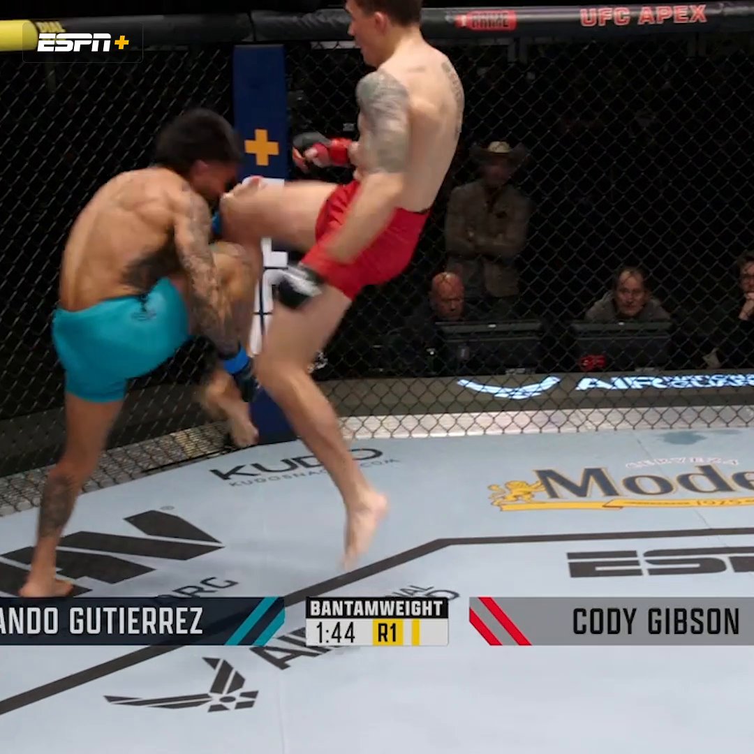 Cody Gibson’s flying knee TKO had Conor speechless 🫢 #TUF31