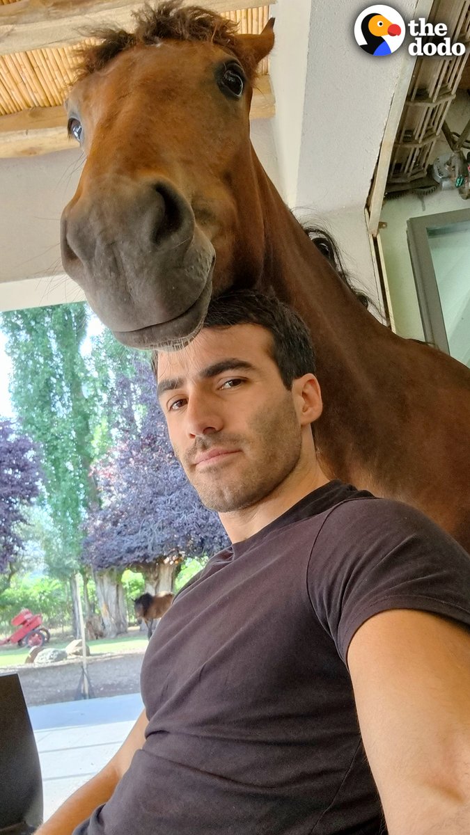 Clingy horse walks into her dad’s house whenever she wants pets — and brings a friend to surprise him in bed 🥰💕