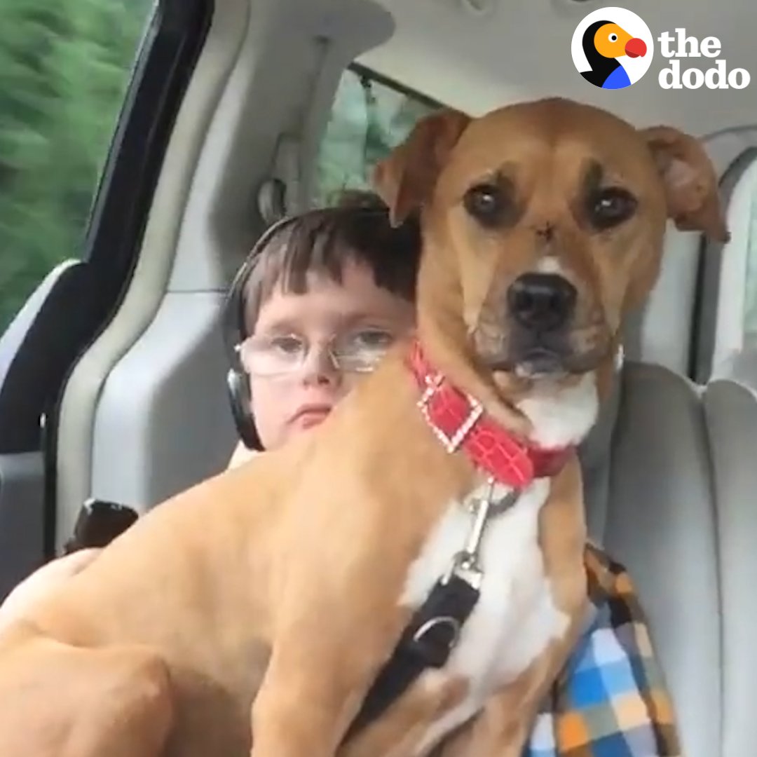 Rescue pittie helps her brother start talking ❤️️