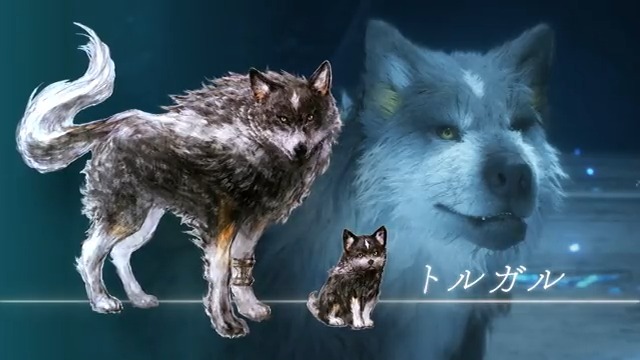 【トルガル】 ジルと同じく大陸北部に出自を持つ狼。クライヴとジョシュアの父エルウィンが、北部遠征の折りに群れからはぐれたトルガルを連れ帰ったことで、ロズフィールド家にて育つ。クライヴの過酷な旅路に付き添う心強き仲間。 #FF16