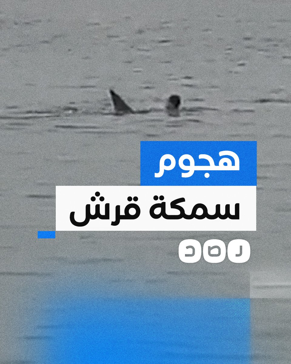 لحظة هجوم سمكة قرش على سائح في أحد شواطئ الغردقة