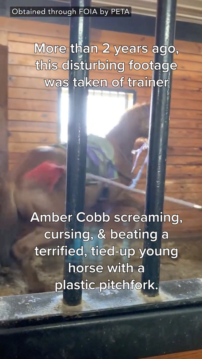 We’re glad trainer Amber Cobb is facing consequences, but there’s NO excuse to treat ANYONE like this.