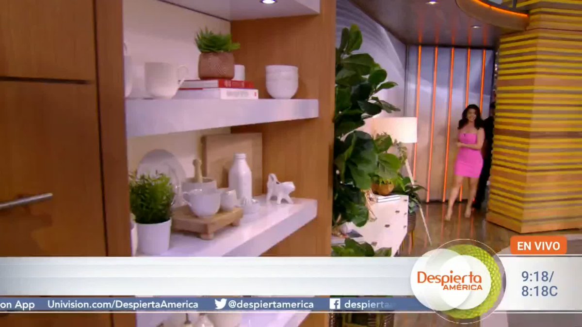 ¡Bienvenidos Emeraude Toubia y Rome Flynn a #DespiertaAmerica! 🥰🥰🥰