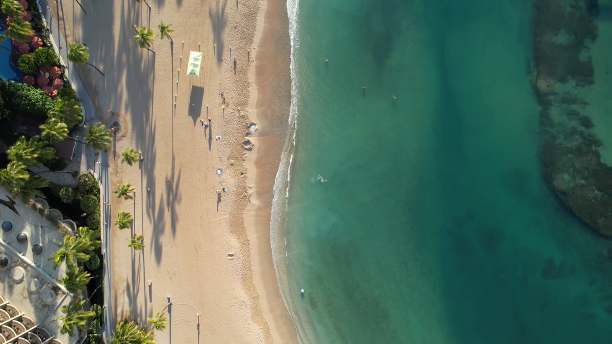 We're launching a nonstop from the West Coast to Hawai'i (our 8th!) with daily flights between Paine Field & Honolulu! Starting 11/17, breeze through the lounge-like atmosphere of PAE (just north of Seattle) to make your tropical escape. Book intro fares from $149 one way now!
