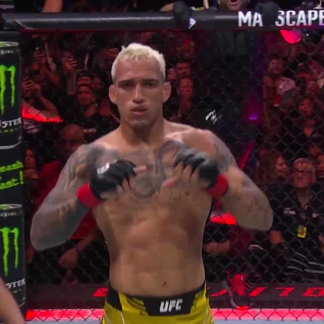 CHARLES OLIVEIRA'S NOT GOING ANYWHERE!! Charles 'DoBronxs' Oliveira stops Beneil Dariush in the first at #UFC289!