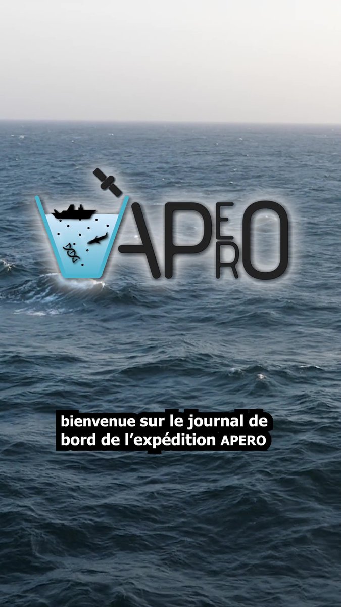 #CNRSocean 🌊 Pendant 40 jours, le vidéaste 🐬 Melvak 🐬 va nous faire vivre les coulisses de l'expédition APERO Cruise en route vers l'atlantique nord. Au programme : animaux marins, expérimentations et quotidien d'une campagne océanographique. ➡