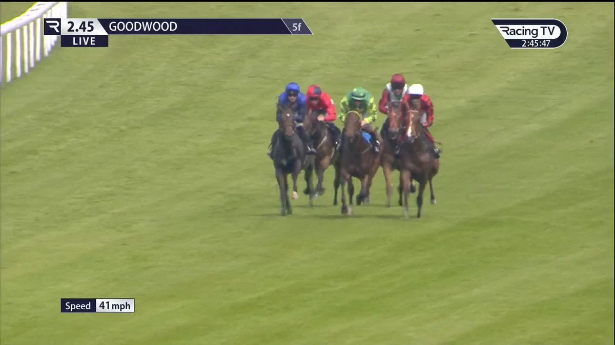 💥September Yearling Sale 2YO💥 Call Glory cruises to victory Goodwood Racecourse for Jack Channon &amp; Charlie Bishop Sold for €26,000 by Grove Stud to SYPS (UK)
