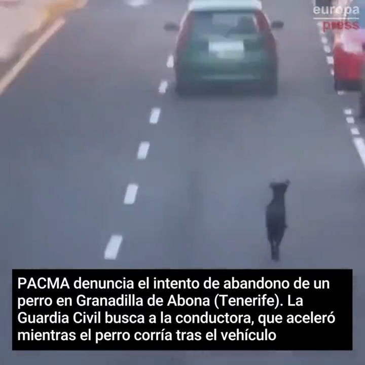 PACMA denuncia este intento de abandono de un perro en Granadilla de Abona (Tenerife) y la Guardia Civil busca a la conductora, que aceleró mientras el perro corría detrás. Tras ser increpada, volvió a subir al perro al coche y se desconoce su paradero