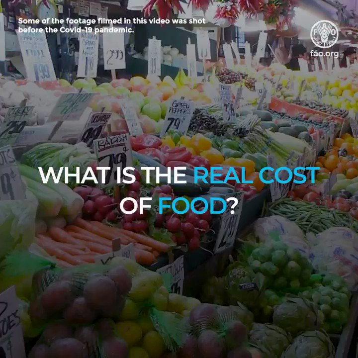 Food loss &amp; waste isn’t just about perfectly good food not making it to our tables, or the money wasted when it ends up in the bin uneaten. The real cost of lost &amp; wasted food is far greater. Ways to make #NotWasting a way of life: #FoodWaste #FoodLoss