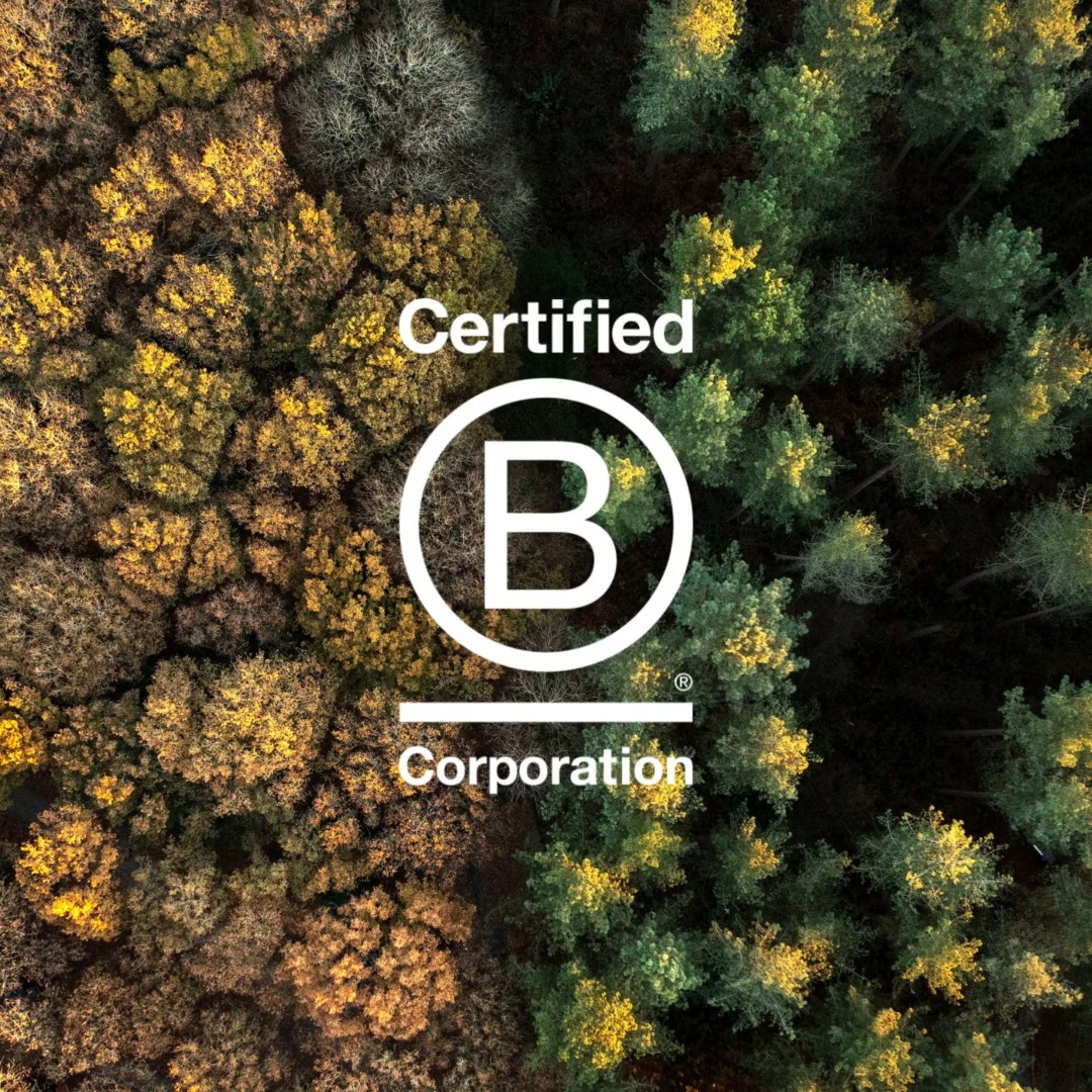 Exciting news - we're a Certified B Corp! But what does that mean? Learn more about us and our journey 👉 B Corp UK #BCorpCertified #ForestFeeling #WeGoBeyond #businessforgood #sustainability