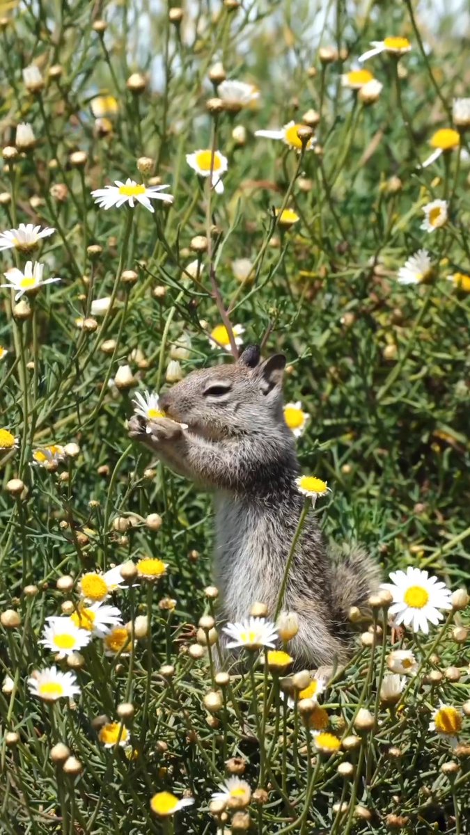 Afternoon snack. cc: Erica Sackrison (