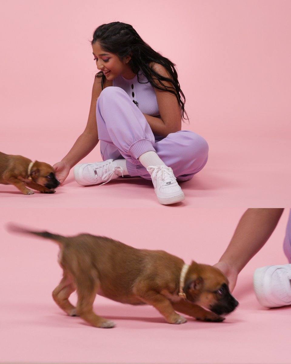Not to brag, but I'm pretty sure this is Maitreyi Ramakrishnan's favorite interview (and even if it isn't, don't correct us or the puppies will get sad). Maitreyi + Puppies will be out later today! #neverhaveiever