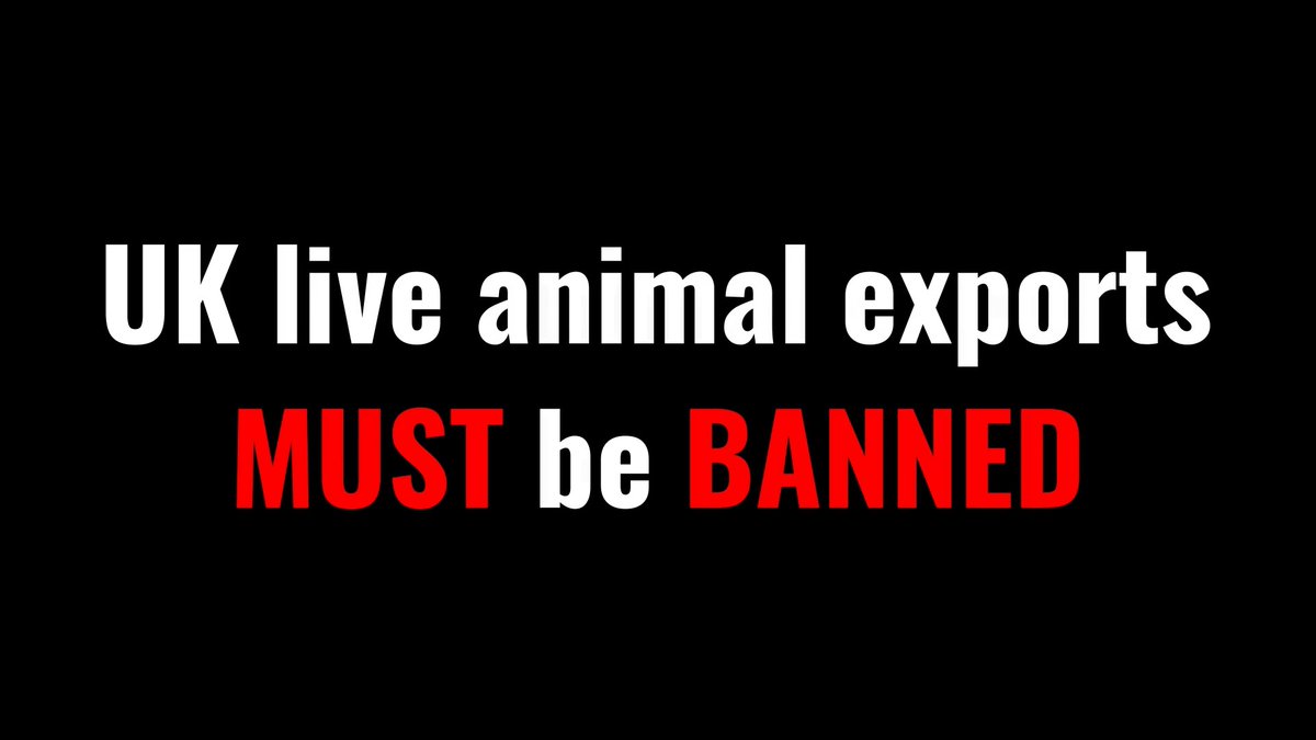 TODAY it's #BanLiveExports International Awareness Day. ❌⛴ So much has been done to defeat this despicable trade, we can't give up now. Please RT &amp; SIGN THE NEW PETITION to save the UK live exports ban Peter Egan Dr Marc Abraham OBE Dan Richardson Deborah Meaden 🇺🇦