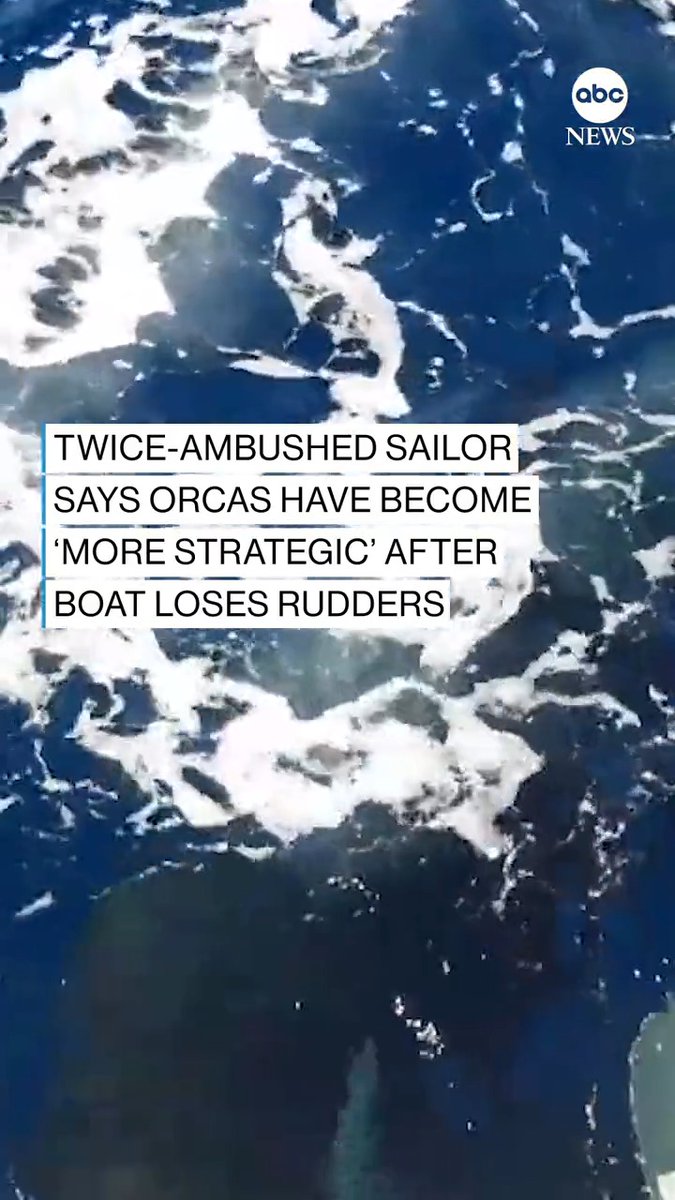 NOT AGAIN: Boat delivery skipper comes under attack by pod of killer whales for second time as one of the orcas is captured on camera bashing against a rudder and breaking it off. It “took only 15 minutes … with both rudders being bitten off,” he said.