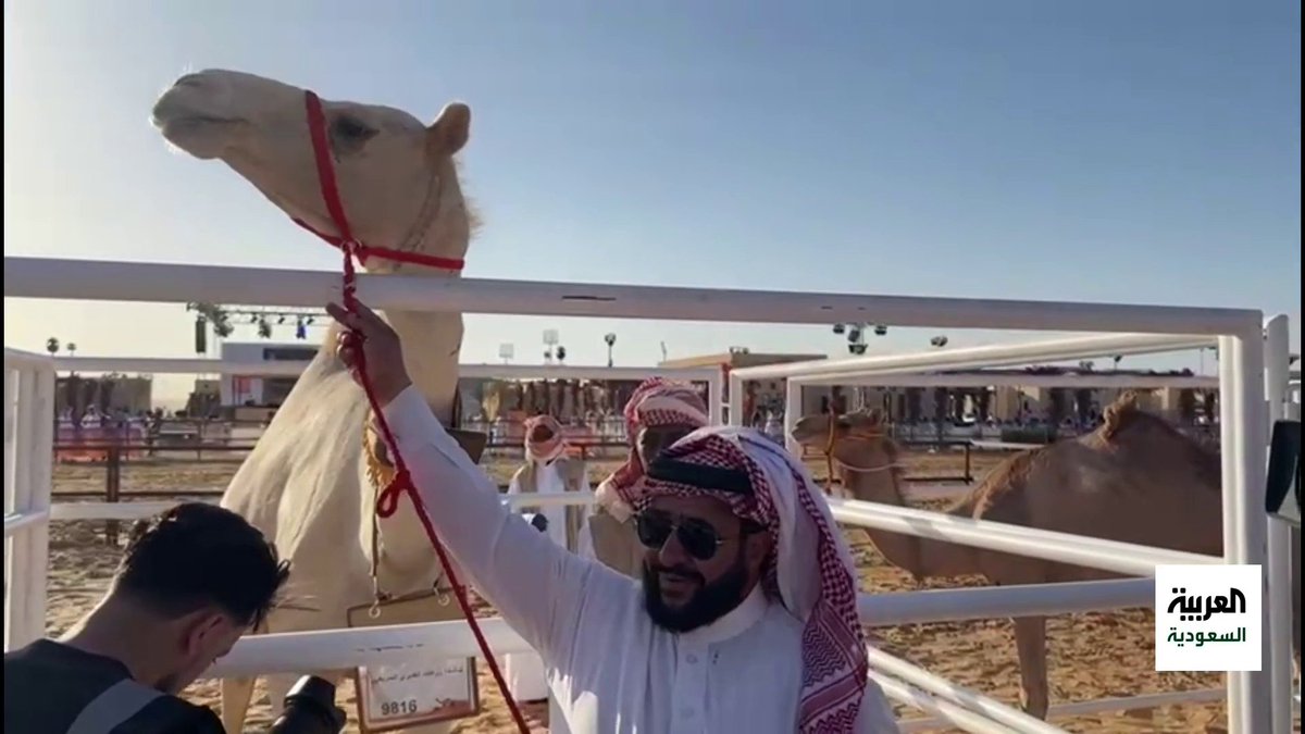 "زرعات الغديري السريعي" تحقق المركز الأول فئة "فردي دق حراير" ضمن منافسة #جادة_الإبل في #تبوك شاهد احتفال صاحبها لحظة الفوز.. عبر: محمد الشقيقي|M.Alshqiqi