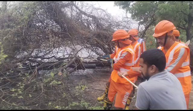 Terrific work done by the NDRF, Gujarat administration and people of Gujarat to face upto challenge of #CycloneBiperjoy . What Odisha began in the recent past, the rest of the country is doing today: effective response to cyclones. 👍
