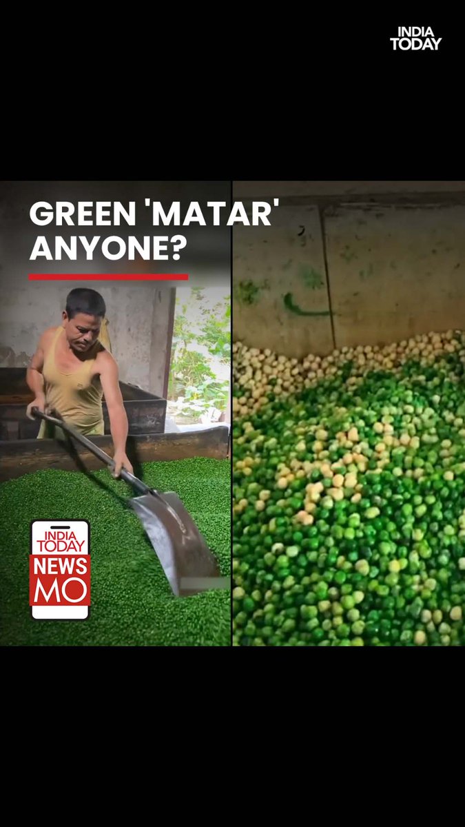 Verified A video that has gone viral on social media shows how salted green matar is made. The video has left everyone in complete shock. Watch yourself. #NewsMo #Adultration #ViralVideo